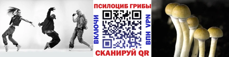 Галлюциногенные грибы Psilocybine cubensis  MEGA как войти  Лесозаводск 