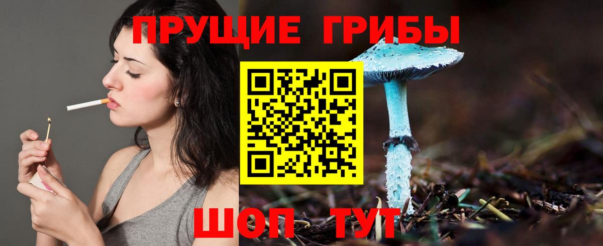 Псилоцибиновые грибы мицелий  магазин    Лесозаводск  Вход с VPN 